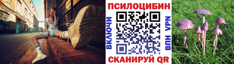 hydra ССЫЛКА  Кораблино  Псилоцибиновые грибы мухоморы 